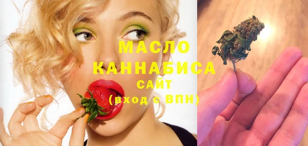 первитин Каменка