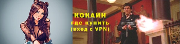 бошки Каменногорск