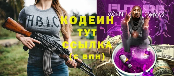 первитин Каменка