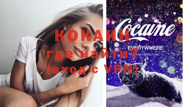 первитин Каменка