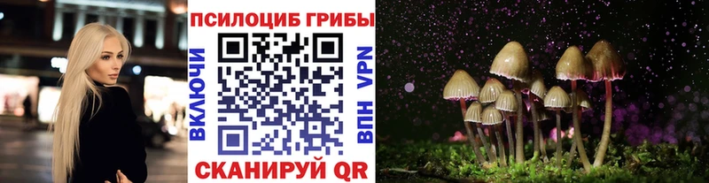Псилоцибиновые грибы Cubensis  Купить где  Наро-Фоминск 